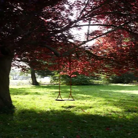 Le Moulin Fleuri Du Petit Appeville فندق 3*