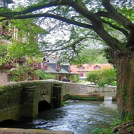Le Moulin Fleuri Du Petit Appeville 3*