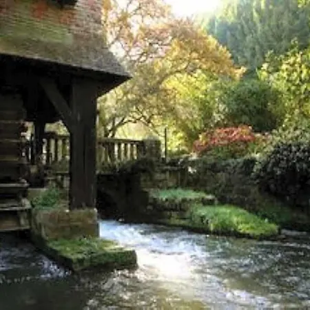 Le Moulin Fleuri Du Petit Appeville