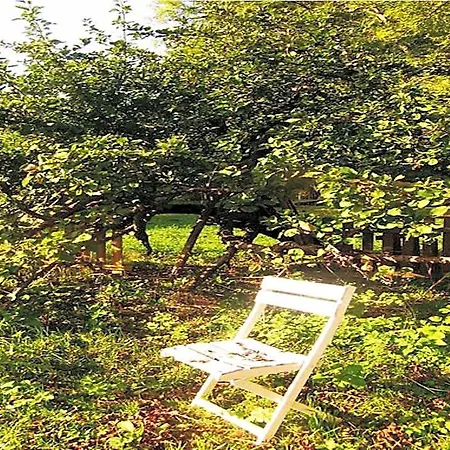 فندق Le Moulin Fleuri Du Petit Appeville Hautot-sur-Mer