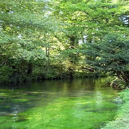 Le Moulin Fleuri Du Petit Appeville فندق Hautot-sur-Mer